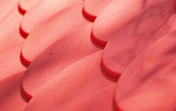 Strands plastic roof costs